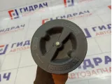 Болт крепления запасного колеса Toyota Camry (XV40) 751900-33130