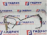 Проводка двери передней левой Toyota Camry 8215206E00E