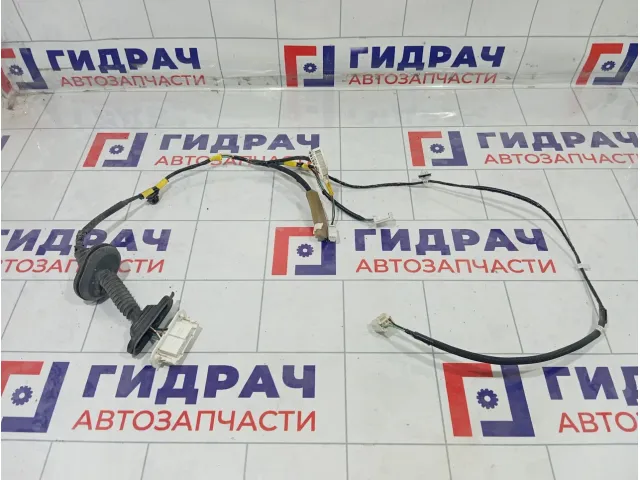 Проводка двери задней левой Toyota Camry 8215406350B