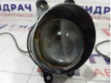 Фара противотуманная Toyota Camry