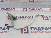 Петля багажника левая Toyota Camry (XV50) 6451033091
