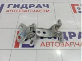Петли двери передней правой Toyota Camry (XV50)