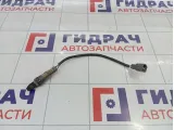 Датчик кислородный/Lambdasonde Toyota Camry (XV50) 8946706170