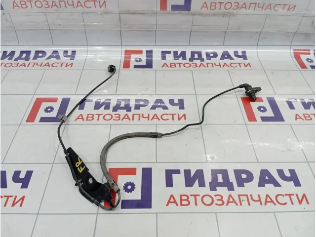 Датчик ABS передний правый Toyota Camry (XV50) 8954233100