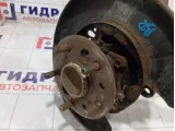 Кулак поворотный задний правый Toyota Camry (XV55) 4230448010