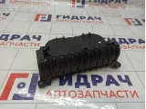 Подстаканник Toyota Camry (XV55) 5562033360E0