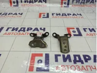 Петли двери задней левой Toyota Camry (XV55)
