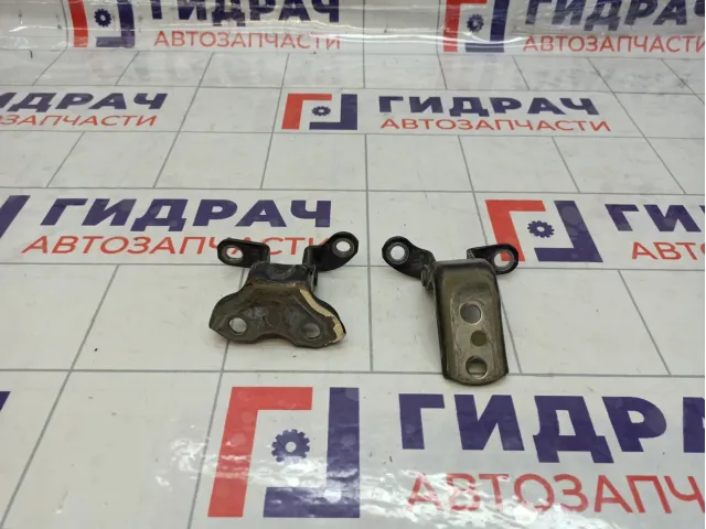 Петли двери задней левой Toyota Camry (XV55)