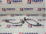 Проводка бампера заднего Toyota Camry (XV55) 8218206251
