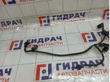 Проводка бампера заднего Toyota Camry (XV55) 8218206251