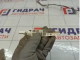 Проводка антенны Toyota Camry (XV55) 8610133B00