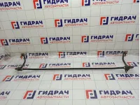 Стабилизатор задний Toyota Camry (XV55) 4881233210