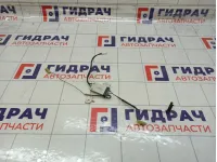 Антенна Toyota Camry (XV55) 8630033330