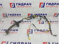 Проводка двери передней левой Toyota Camry 8215206S80B