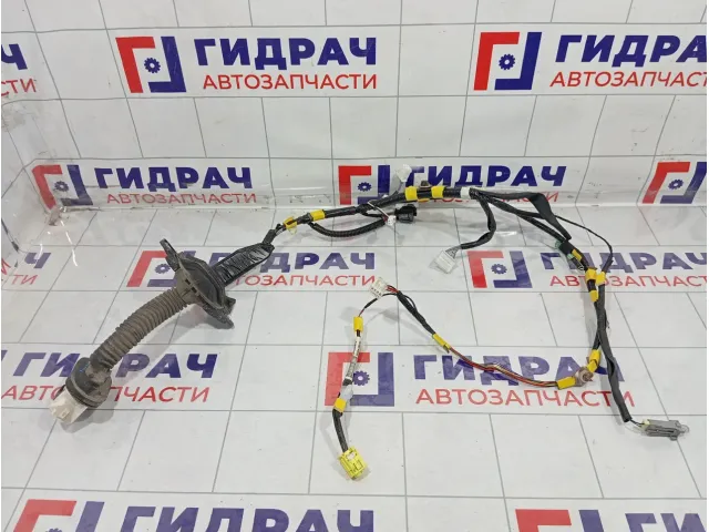 Проводка двери передней левой Toyota Camry 8215206S80B