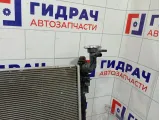 Радиатор основной Toyota Camry 1640025130