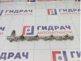 Топливная рампа (топливная рейка) Toyota Camry 238000V010