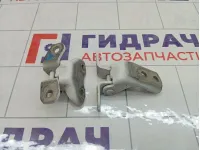 Петли двери передней левой Toyota Camry
