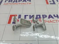 Петли двери задней левой Toyota Camry