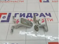 Петли двери задней правой Toyota Camry