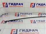 Молдинг крыши левый Toyota Camry 7555633080