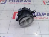 Фара противотуманная передняя правая Toyota Camry (XV70) 8121048051