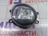 Фара противотуманная передняя правая Toyota Camry (XV70) 8121048051
