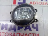 Фара противотуманная передняя левая Toyota Camry (XV70) 8122048051