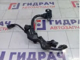Проводка двигателя Toyota Camry (XV70) 82126F4010