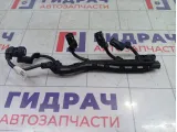 Проводка двигателя Toyota Camry (XV70) 82125F4020