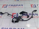 Проводка двигателя Toyota Camry (XV70) 822190R020