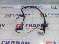 Проводка двери задней левой Toyota Camry (XV70) 8215433410