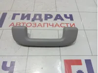 Ручка потолочная передняя Toyota Camry (XV70) 7461006120B0