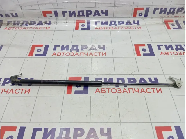 Амортизатор капота левый Toyota Camry (XV70) 5345006170