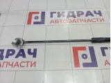 Амортизатор капота левый Toyota Camry (XV70) 5345006170