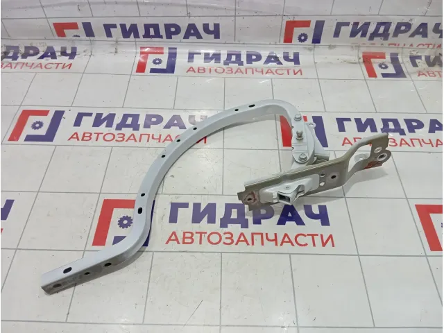 Петля багажника левая Toyota Camry (XV70) 6452033071