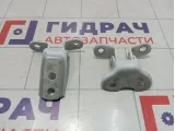 Петли двери передней левой Toyota Camry (XV70)