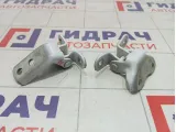 Петли двери передней левой Toyota Camry (XV70)