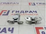Петли двери передней левой Toyota Camry (XV70)
