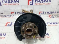 Кулак поворотный задний левый Toyota Camry (XV70) 4230533050