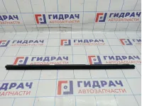 Уплотнитель стекла двери передний правый Toyota Camry (XV40) 68171-33060.
