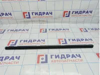 Уплотнитель стекла двери передний левый Toyota Camry (XV40) 68172-33070.