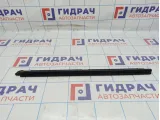 Уплотнитель стекла двери задний левый Toyota Camry (XV40) 68174-33060.