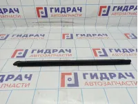 Уплотнитель стекла двери задний левый Toyota Camry (XV40) 68174-33060.