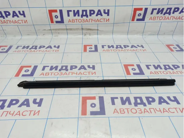 Уплотнитель стекла двери задний левый Toyota Camry (XV40) 68174-33060.
