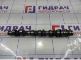 Распредвал впускной правый Toyota Camry (XV40) 13501-31100.