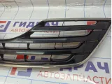 Решетка радиатора Toyota Camry (XV40) 53101-33270-C0.