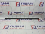 Уплотнитель стекла двери передний правый Toyota Camry (XV40) 68172-33070