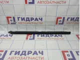 Уплотнитель стекла двери задний левый Toyota Camry (XV40) 68174-33060