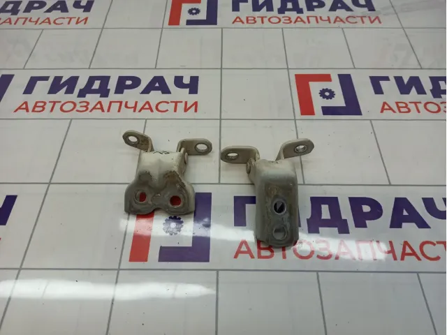 Петли двери передней левой Toyota Corolla (E120)